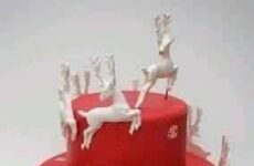 Festive Christmas Cake