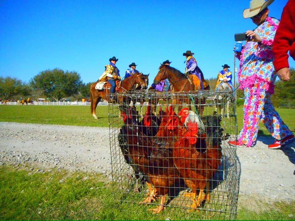 The Courir de Mardi Gras