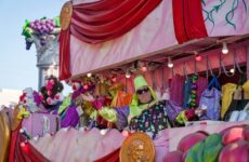 Festival season is in full swing!