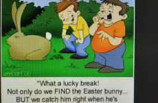 Easter Décor and funny.