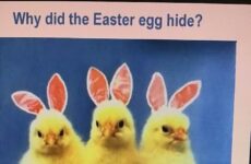 Easter Funny