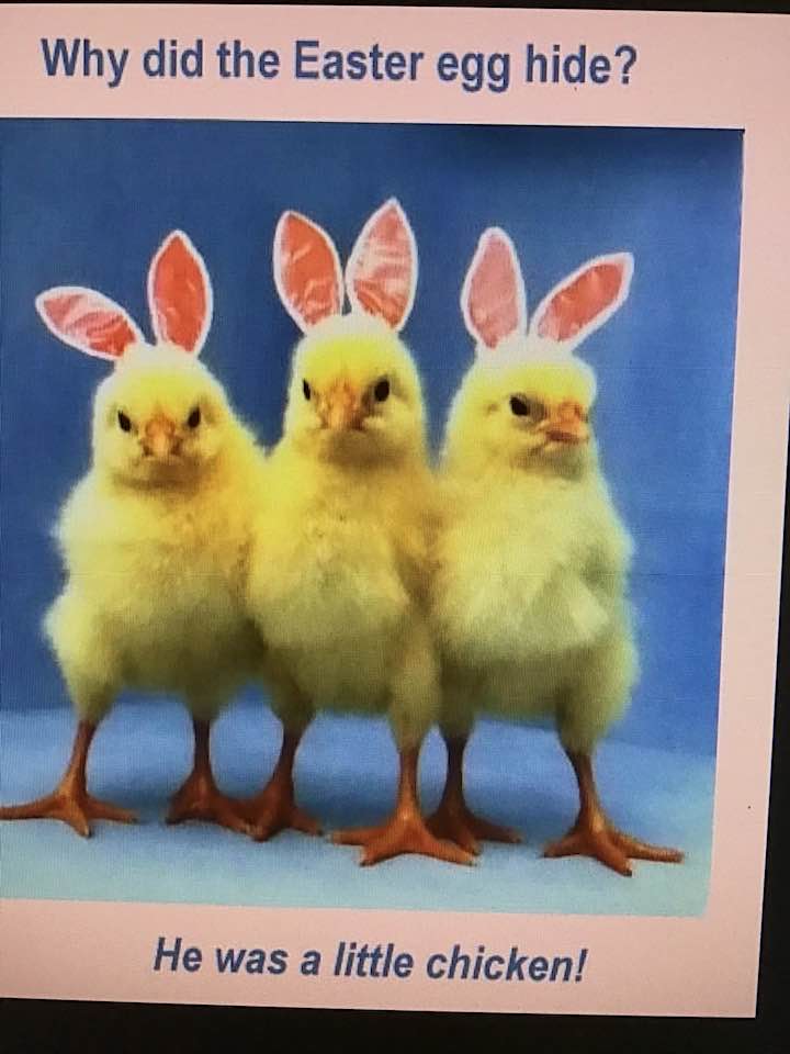 Easter Funny
