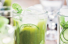 REFRESHING EMERALD PALMERS