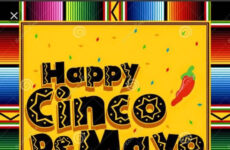 Life is a Fiesta!