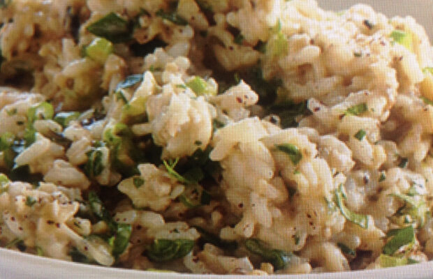 GRILLED EGGPLANT RISOTTO
