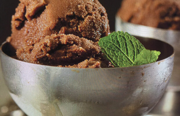 MINTY CHOCOLATE SORBET
