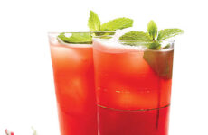 TANTALIZING WATERMELON-LIME SODA