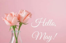 Hello May!