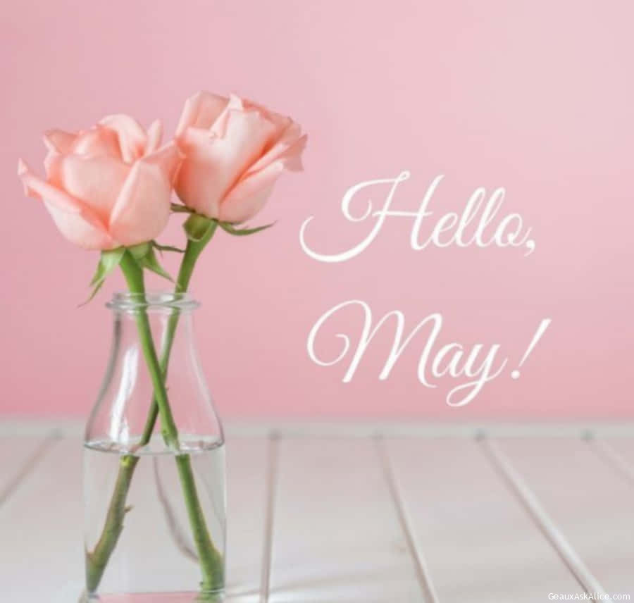 Hello May!