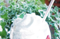 FROZEN STRAWBERRY DAIQUIRIS